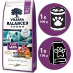 Velxara Balanced FM Dog Adult Monoprotein Lamb & Rice 12 kg – Hledejceny.cz
