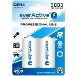 everActive professional line C 5000mAh 2ks EVHRL14-5000 – Zboží Živě