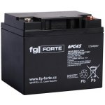 fgForte 12V 45Ah 6FG45 – Zboží Živě