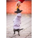 Vsepropejska Mitexi mikina s kapsou pro psa – Zbozi.Blesk.cz