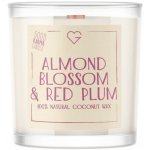 Goodie Almond Blossom & Red Plum 50 g – Hledejceny.cz