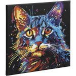 Grafix Malování podle čísel kočka 30 x 30 cm na černé plátno – Zboží Dáma