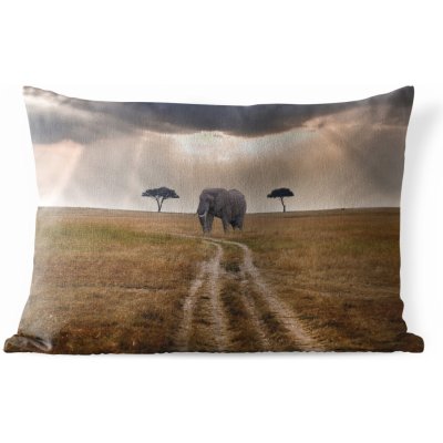 MuchoWow Vnější polštář Sluneční svit na slona v přírodní rezervaci 50x30 – Zboží Mobilmania