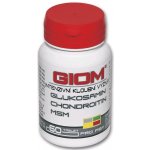 Giom Intenzivní kloubní výživa 60 tbl – Zboží Dáma