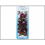 Tetra rostlina Red Ludwigia 23 cm – Zboží Mobilmania