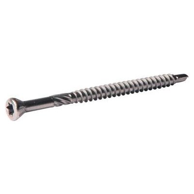 Vruty Rapi-Tec BSP, 3,2x30mm, T10, bílý zinek, 250ks – Hledejceny.cz