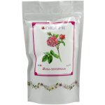 BugSoother 100% přírodní repelent na všechen hmyz spray 100 ml – Zboží Dáma