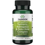Swanson Turmeric Astragalus a Gotu Kola 60 kapslí – Hledejceny.cz