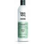 Revlon Pro You Anti-Dandruff proti lupům Anti-Dandruff Shampoo 350 ml – Zbozi.Blesk.cz