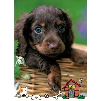 Pohlednice Štěně 125 – Zboží Dáma