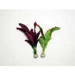 Biorb 46100 hedvábné rostliny střední, zelené, 2 ks, 29 cm – Zboží Mobilmania