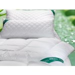2G souprava Aloe Vera extra hřejivé 220x200 2x70x90 – Zboží Mobilmania