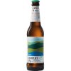 Pivo Damm COMPLOT IPA 14,9 0,33 6,6 % (sklo)