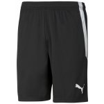 Puma teamLIGA Shorts – Zboží Mobilmania