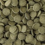 Dajana Spirulina wafers 1 kg – Zboží Dáma