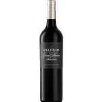 Golan Heights Gamla Cabernet Sauvignon 2021 Červené 14,5% 0,75 l (holá láhev) – Hledejceny.cz