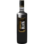 Rodnik's Absinth Black 70% 0,7 l (holá láhev) – Zboží Dáma