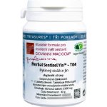 Givanni Maciocia T04 Bylinný strážce Jin Herbal Sentinel Yin 60 tablet – Hledejceny.cz