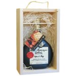Armagnac-Delord Hors d’Age 40% 0,7 l (holá láhev) – Hledejceny.cz