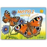MFP Omalovánky Motýli – Zbozi.Blesk.cz