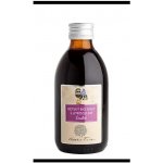 Nobilis Tilia Dětský BIO sirup s jitrocelem Emílek 250 ml – Hledejceny.cz