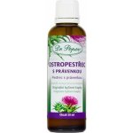 Dr.Popov Kapky bylinné Ostropestřec s právenkou 50 ml – Hledejceny.cz