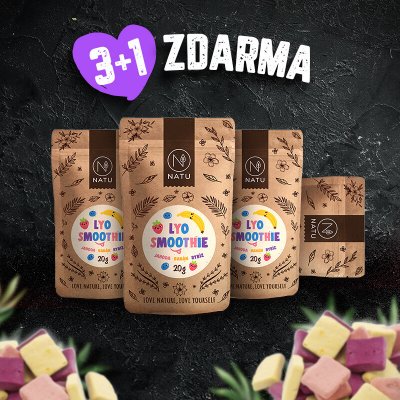 NATU Lyo smoothie mix 20 g – Zboží Dáma