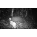 OXE Viper – Zboží Živě