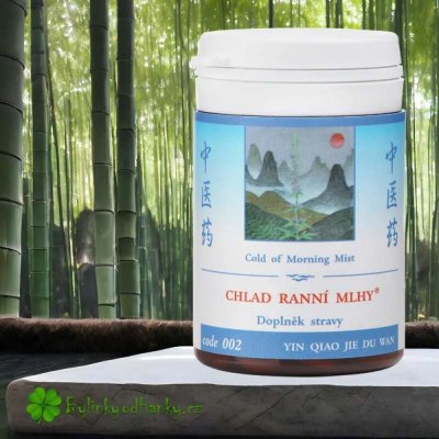 TCM Herbs Chlad ranní mlhy 100 tablet – Hledejceny.cz
