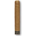 Rocky Patel The Edge Connecticut Robusto – Zboží Mobilmania