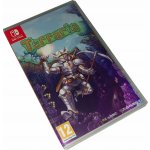 Terraria – Zboží Dáma