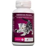 Univit ROBORAN chondro gel pro kočky 60 g – Hledejceny.cz