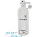 Montale Paris White Musk parfémovaná voda unisex 100 ml tester