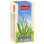 Apotheke Jitrocel čaj 20 x 1,5 g – Hledejceny.cz