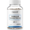 Ostrovit Nutrition Tribulus Terrestris 90 60 kapslí