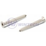 WINTECH Šroub do plechu 4,8 x 32 DIN 7982C A2 TX 25 Balení: 500 ks SCBGK48032AO0 – Sleviste.cz