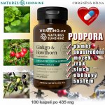 Nature’s Sunshine Ginkgo & Hawthorn 100 kapslí po 435 mg – Hledejceny.cz