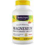 Healthy Origins Hořčík bisglycinát 120 tablet – Hledejceny.cz