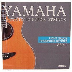 Yamaha AEP 12