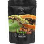 Gecko Nutrition mango, papája 50 g – Zboží Dáma