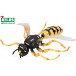 Atlas A Vosa obecná 8 cm – Zboží Mobilmania