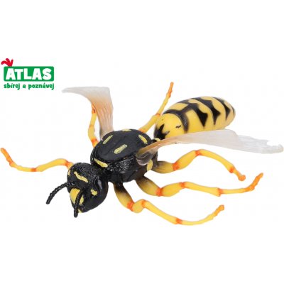 Atlas A Vosa obecná 8 cm – Zboží Mobilmania