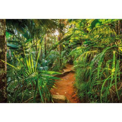 Komar 8-989 Fototapeta Jungle Trail rozměr 368 cm x 254 cm – Zboží Mobilmania