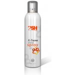 PSH Spray Lesk x-treem 300 ml – Zboží Dáma PSH Spray Lesk x-treem 300 ml – Zboží Dáma