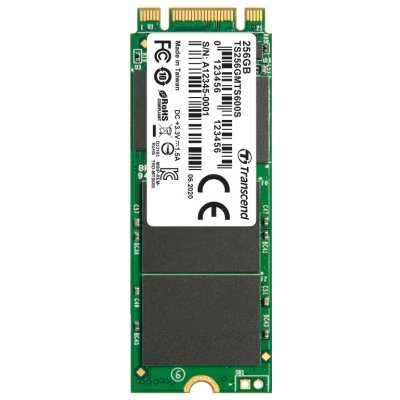 Transcend MTS600 256GB, M.2 SSD SATA, III MLC, TS256GMTS600S