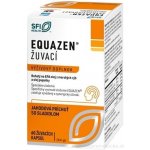Equazen žvýkací jahodová příchuť 60 tablet – Hledejceny.cz
