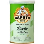 Caputo sušené droždí 100 g – Zbozi.Blesk.cz