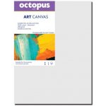 Octopus malířské plátno 40 x 50 cm