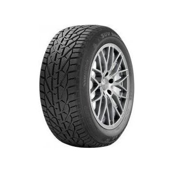 Riken Snow 225/55 R17 97H