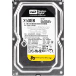 WD RE4 250GB, SATA, 7200rpm, 64MB, WD2503ABYX – Hledejceny.cz